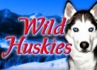 Wild Huskies Slot